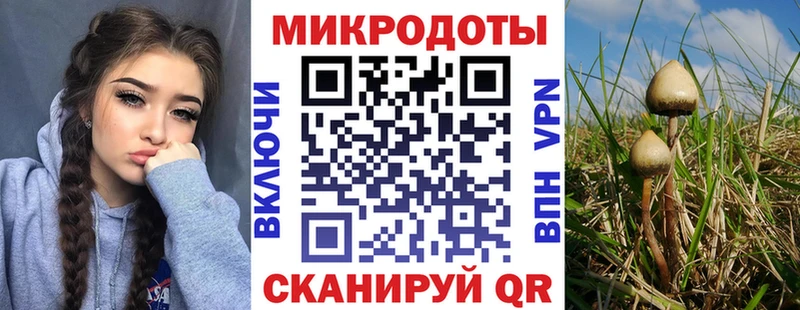 mega как войти  наркота  Котово  Псилоцибиновые грибы Psilocybine cubensis 